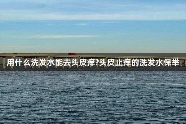 用什么洗发水能去头皮痒?头皮止痒的洗发水保举