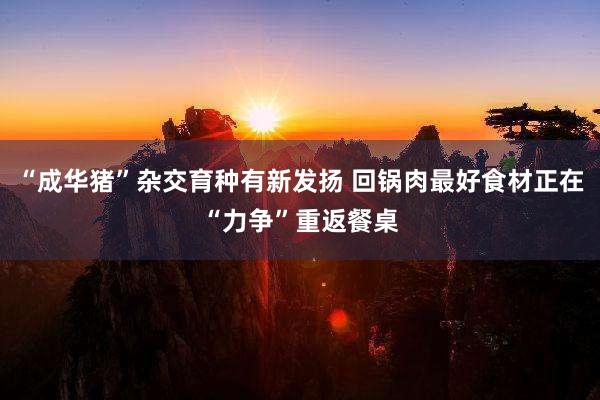 “成华猪”杂交育种有新发扬 回锅肉最好食材正在“力争”重返餐桌