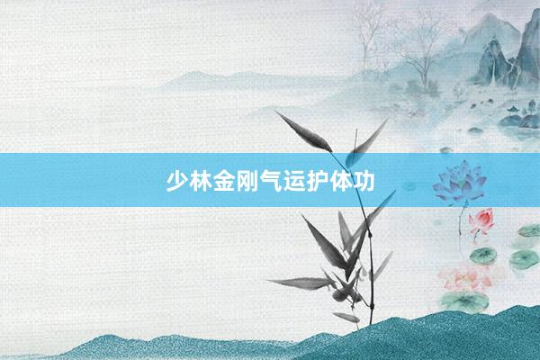 少林金刚气运护体功