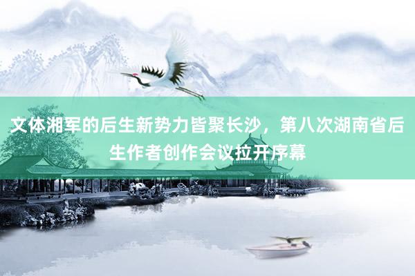 文体湘军的后生新势力皆聚长沙，第八次湖南省后生作者创作会议拉开序幕